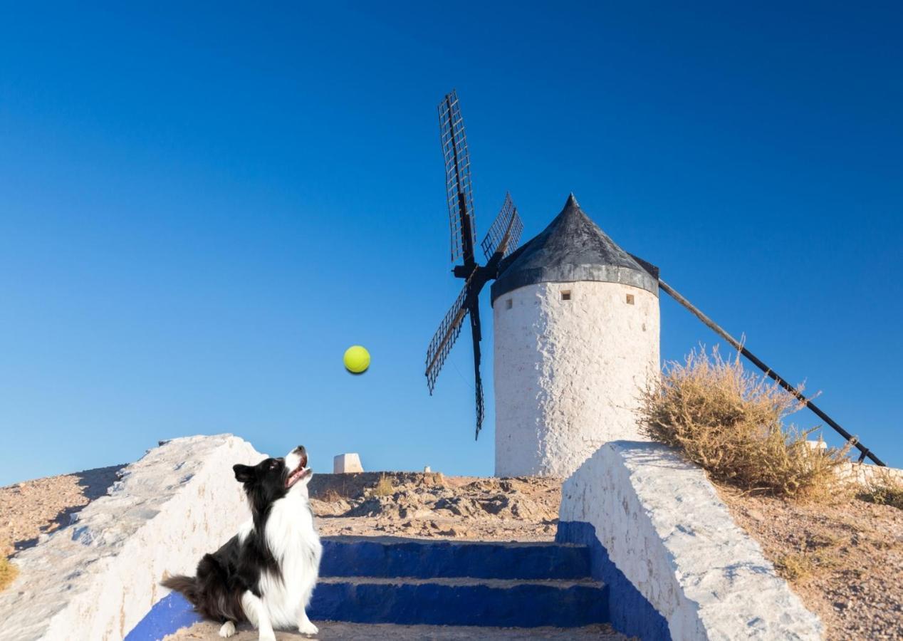Apartamento Vistas Molineras コンスエグラ エクステリア 写真
